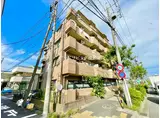 東武伊勢崎線 谷塚駅 徒歩19分 5階建 築24年