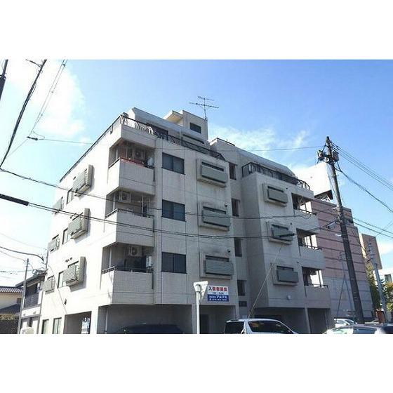 RAIZ 星井