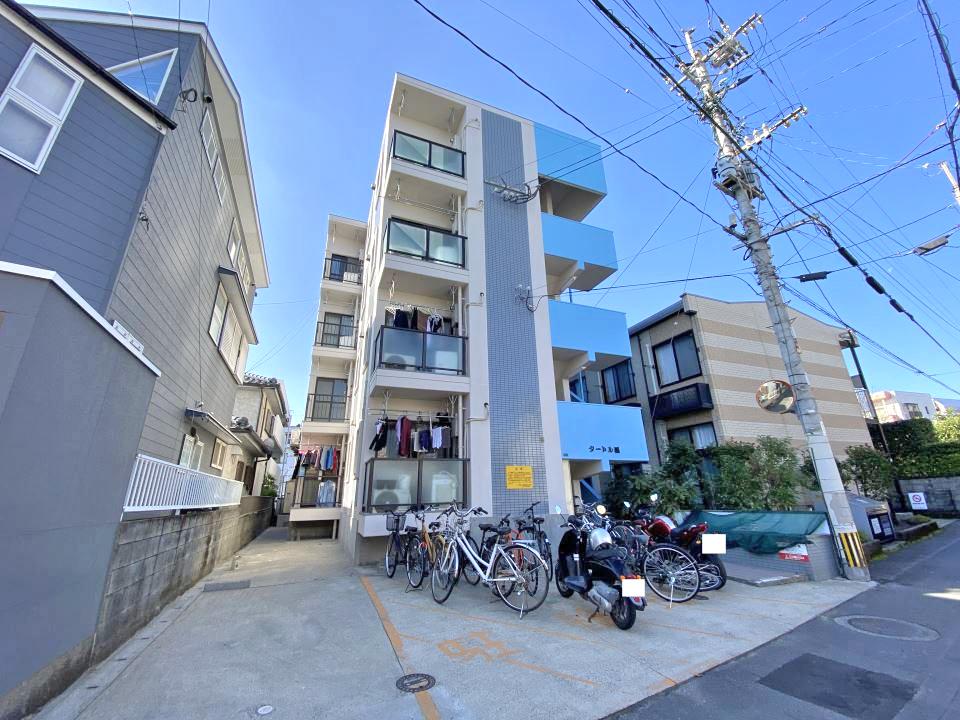 タートル楓