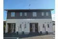 コンフォルト結