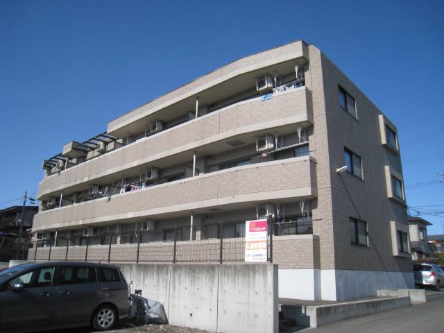 プラティーク杉の入