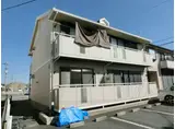 コートグレイス