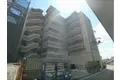 TIMUR九条