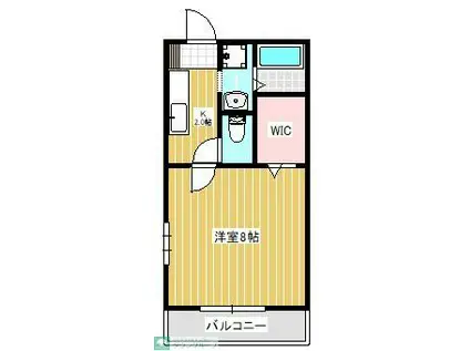 サニーハイツ A・B棟 A(1K/1階)の間取り写真