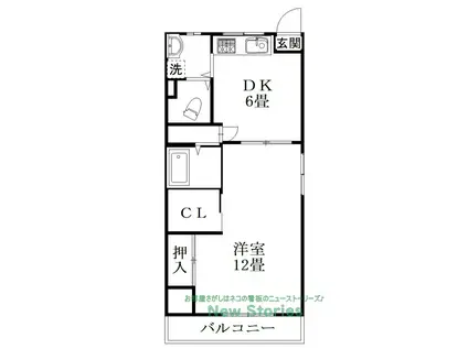 コーポ林第1ビルD棟(1SDK/3階)の間取り写真