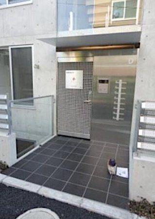 ズーム表参道