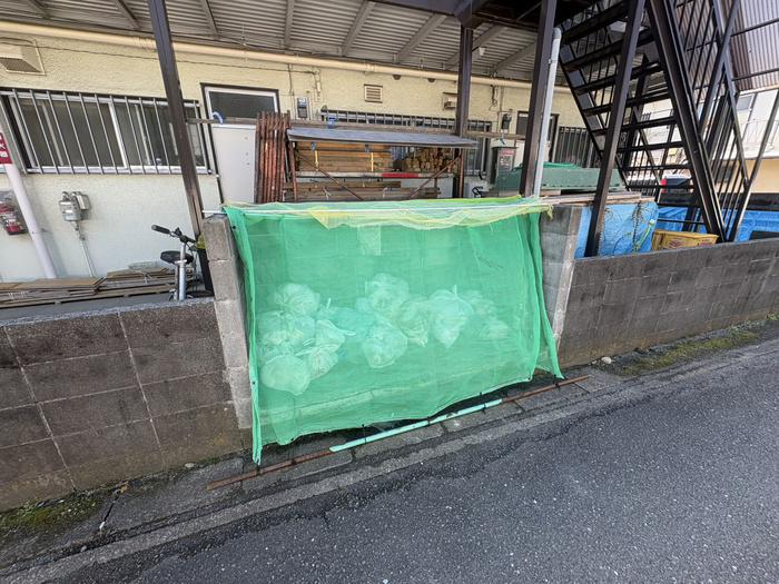 さんご荘
