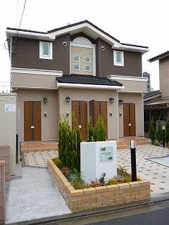 パインツリーフォレスト