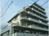 トキワメゾン