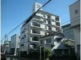 パラティーノ井東