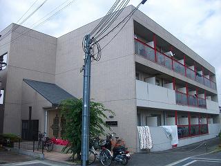 サニーステージヒカリ