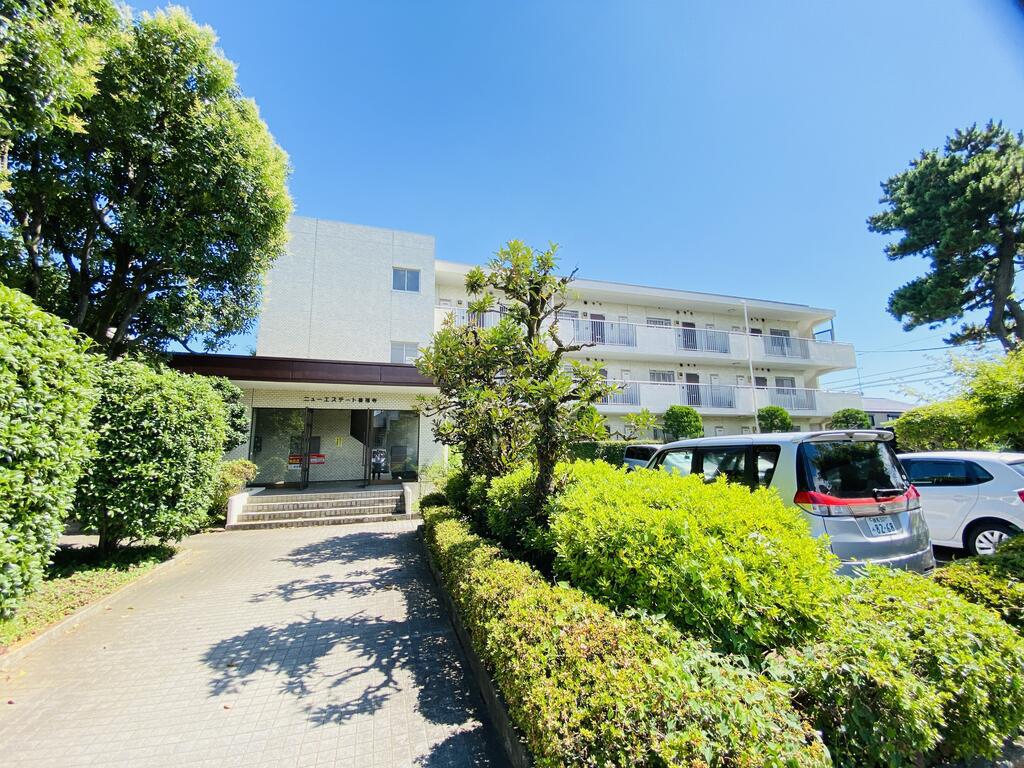 ニューエステート善福寺(3LDK/1階)
