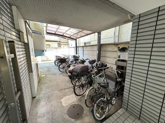 アースカーサ