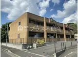ファイングレイス梅の木