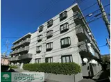 ドヌール35