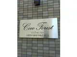 ココフォレスト