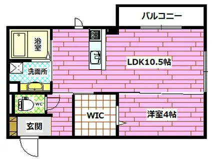 カーサヴェッカ(1LDK/2階)の間取り写真