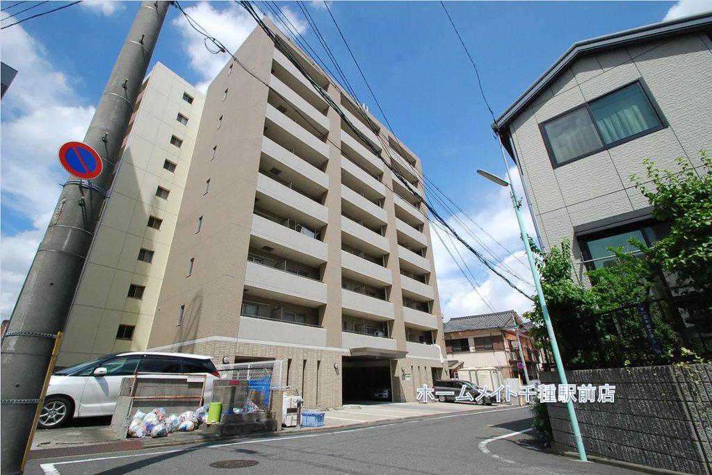 WILLDO 金山正木