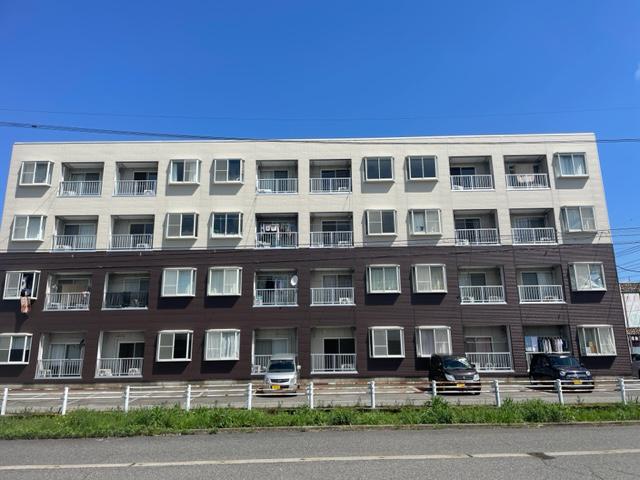 イルミネーションテラス