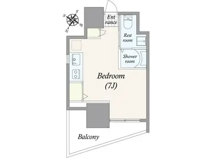 パークアヴェニュー麻布(ワンルーム/5階)の間取り写真