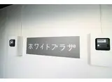 ホワイトプラザ