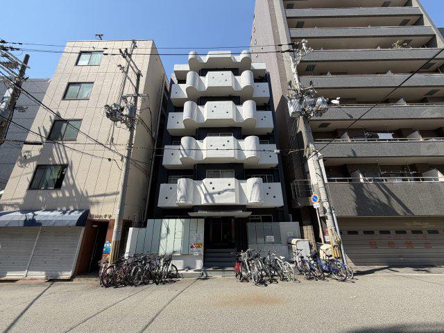 コーニッシュ桜川