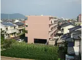 サンライズ山田