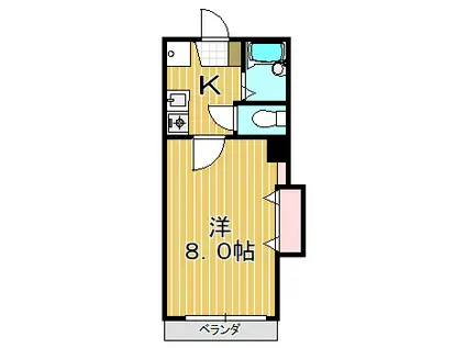 シャルマンヴィラージュ(1K/1階)の間取り写真