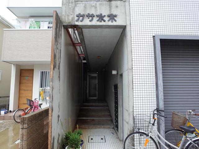 カサ水木