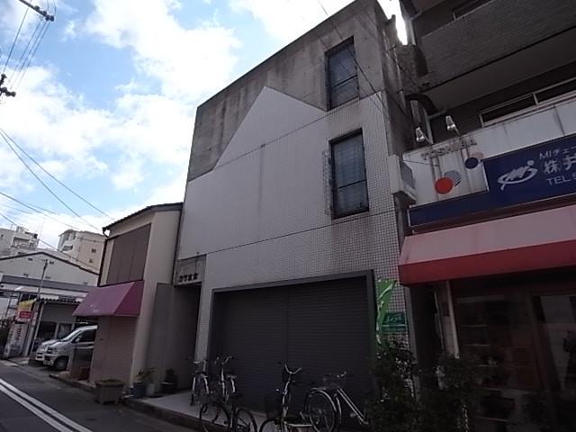 カサ水木