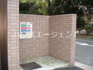 サンフラワーフィル