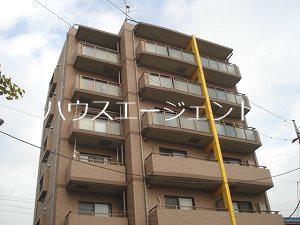 サンフラワーフィル
