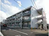 ウィン長谷川