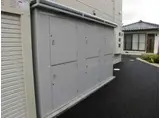 パインメイプル85
