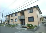 グリーンパークニレの木