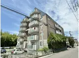 ハウスエバーグリーン