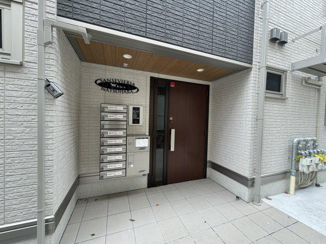 SANSEVIERIA夏原