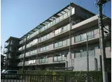 クイーンズパレス春日部