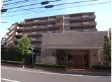 ラフィーヌ桜新町