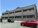 グレイスイサキ