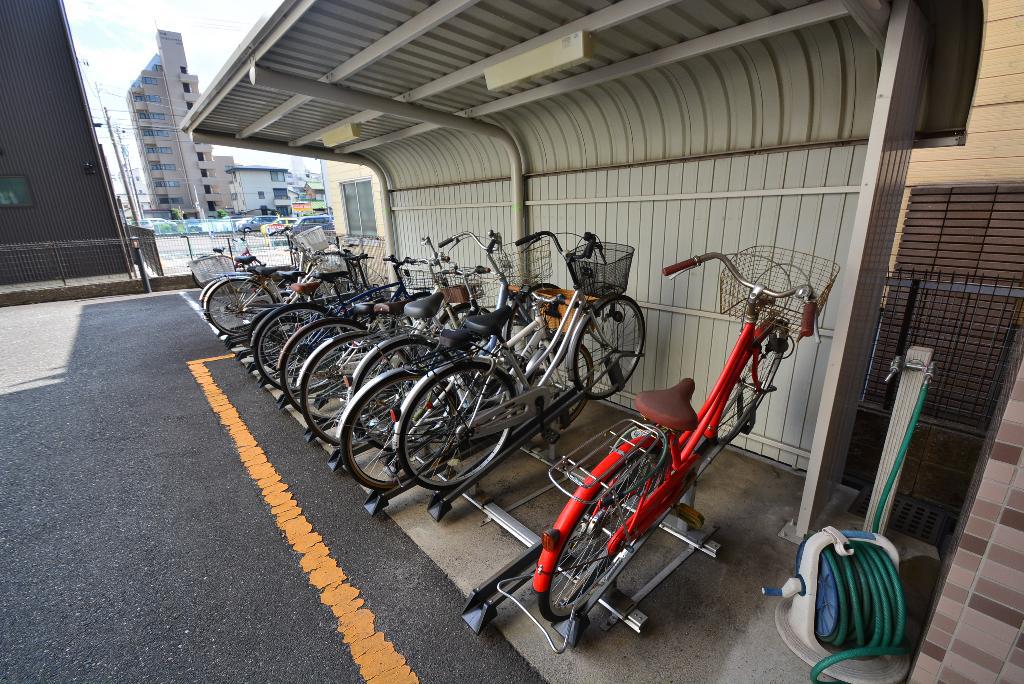ロイヤルピジョン岩塚