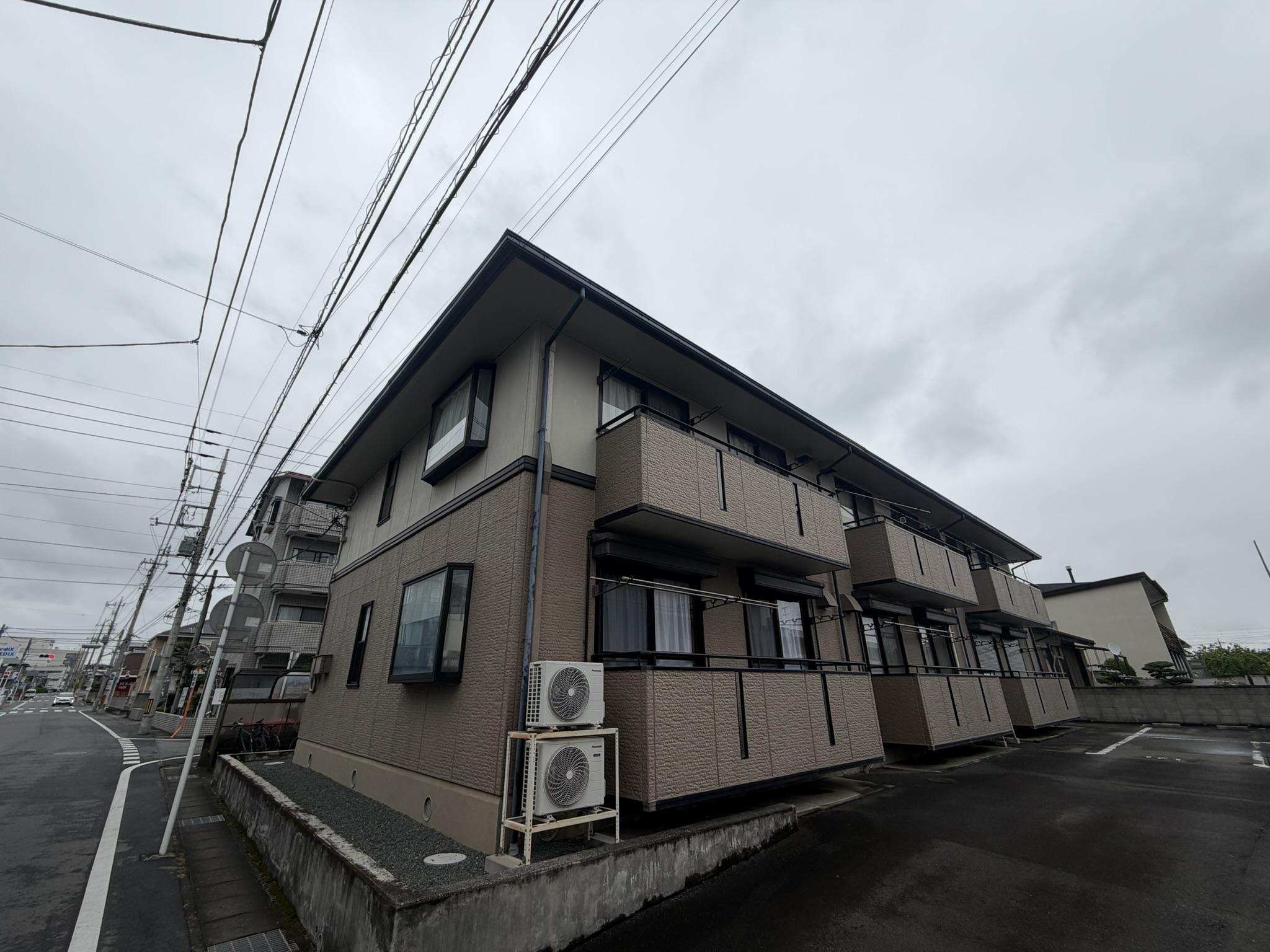 ハイカムール大友