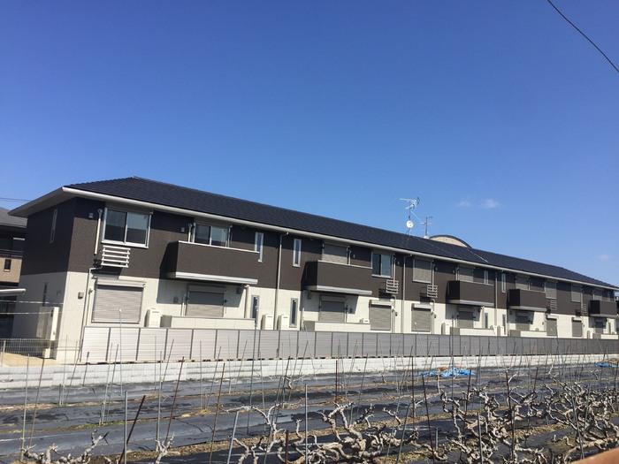コンフォール ドミ