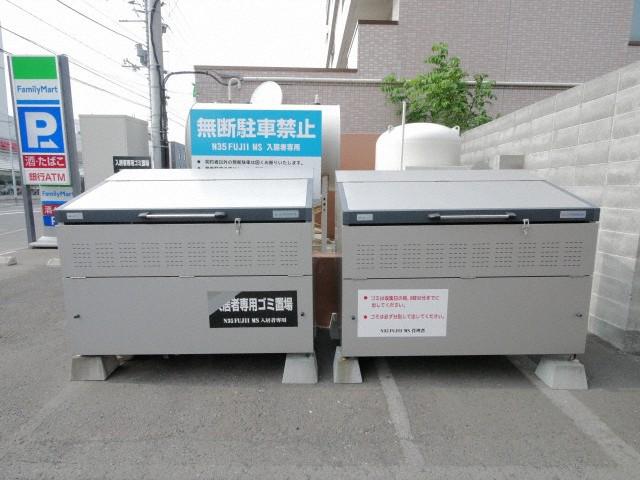 N35 FUJII MS