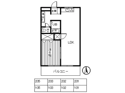 メゾンブルーム(1LDK/1階)の間取り写真
