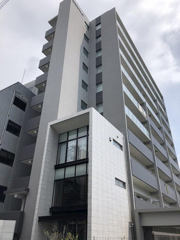 ハナミズキ福島