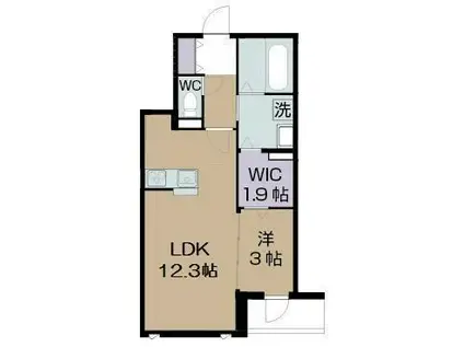 アドニスコートパート2(1LDK/2階)の間取り写真