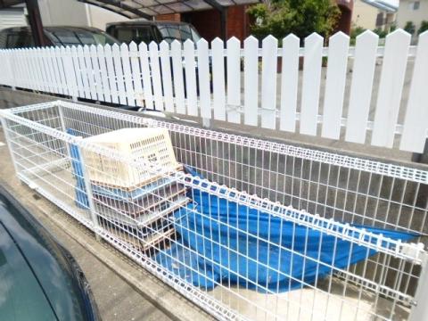 アビニヨン