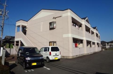セザンヌ