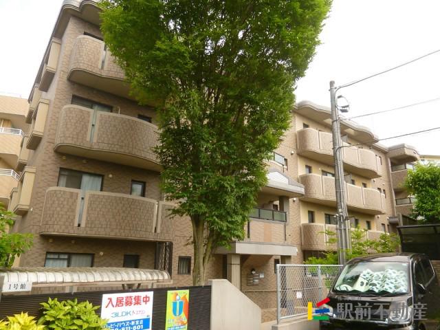 テラ青葉